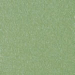 Pale Green Ral6021