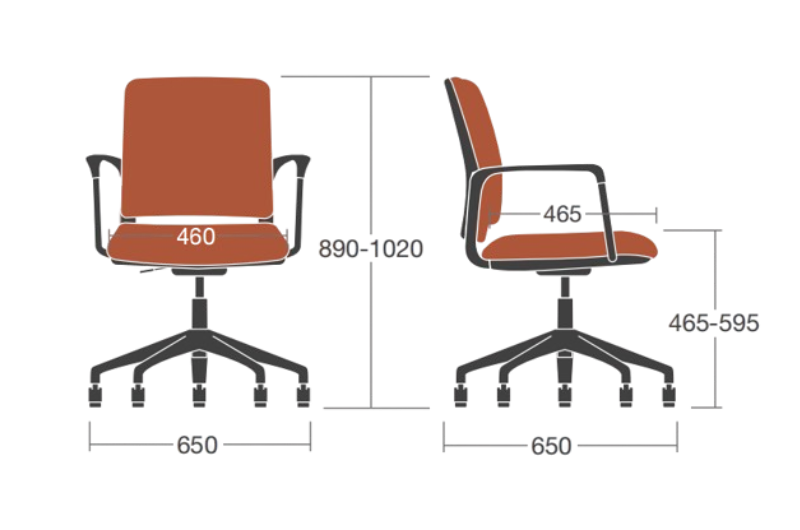 Amy – Multi Purpose Chair With Upholstered Seat Dimensions Img.png 1