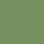 Pale Green Ral6021