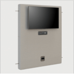 Television With Power Module