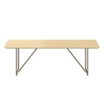 Small Rectangular Shaped Table(10 and 12 Persons)