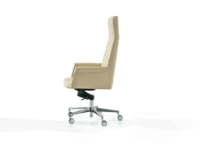 Anton Medium And High Back Executive Chair 6