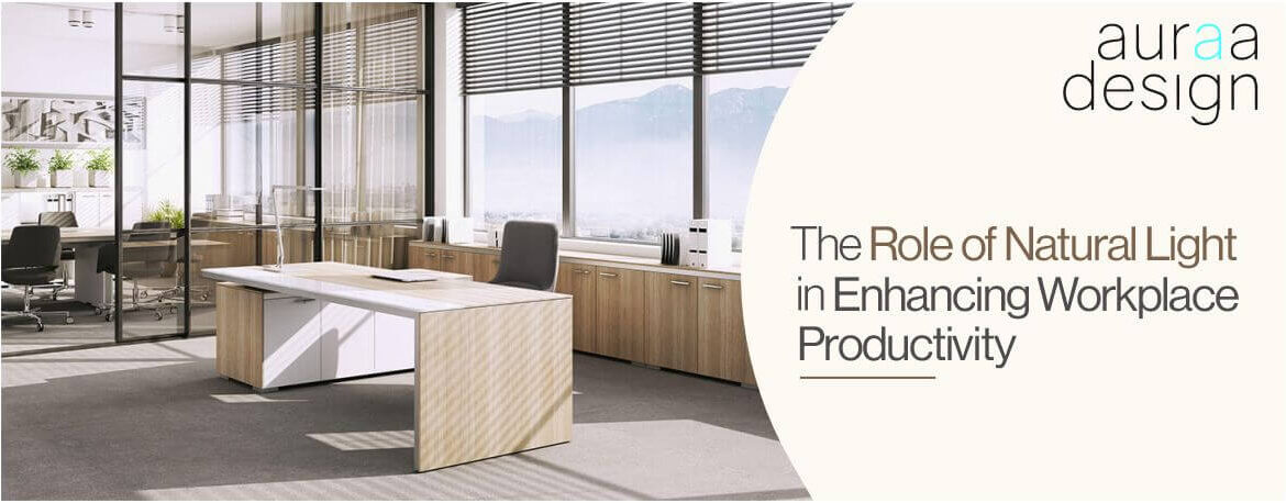 The Role Of Natural Light In Enhancing Workplace Productivity Main Img