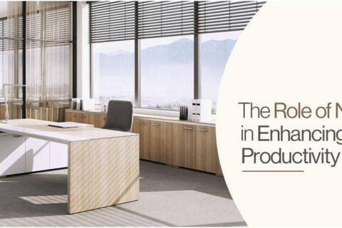 The Role Of Natural Light In Enhancing Workplace Productivity Main Img